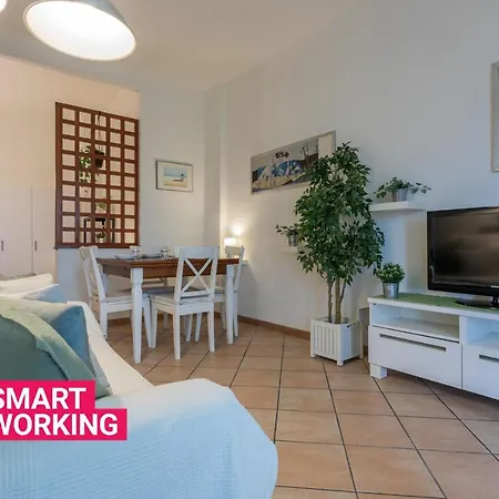 Forest By Wonderful Italy