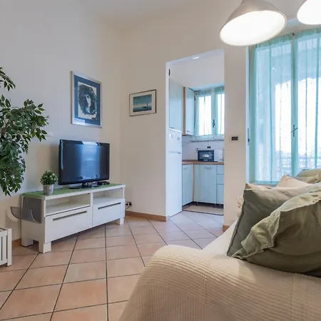 Forest By Wonderful Italy